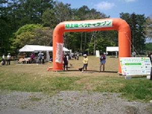 2012-05-27 09.55.06.jpg